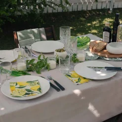 SEASONS Christiania 1739 Bbq Biffbestikk 8-Deler