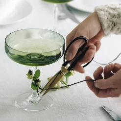 HADELAND GLASSVERK Odyssé Cavaskål Oliven 25cl 2pk Best