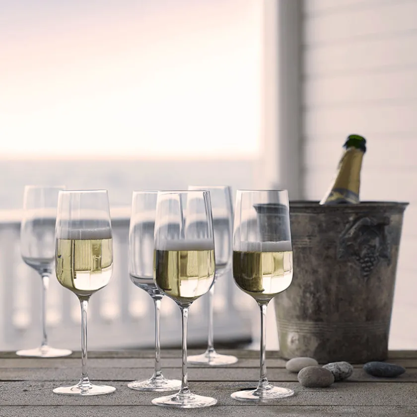 HOLMEGAARD BOUQUET 29CL CHAMPAGNEGLASS New