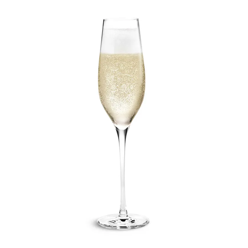 HOLMEGAARD Cabernet - Peter Svarrer 29cl Champagneglass Sale