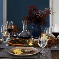 HOLMEGAARD CABERNET 69CL RØDVINSGLASS New