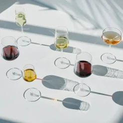 IITTALA Essence Champagne 21cl 2pk Online