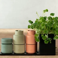 CRUSHGRIND Krydderkvern 12cm Paprika - Clearance