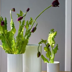 LYNGBY Porcelæn Vase 15,5cm Hvit New