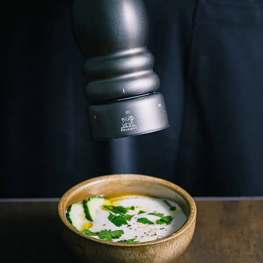 PEUGEOT Paris Chef U'Select Pepperkvern 22cm Karbon New