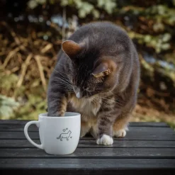 PORSGRUNDS PORSELÆNSFABRIK Porsgrunds Porselænsfabrik Hashtag Krus 38 cl Livet Er Best Med Katt Outlet