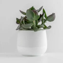 PORSGRUNDS PORSELÆNSFABRIK Porsgrunds Porselænsfabrik Nordic Light Lyslykt 10cm Hvit Sale