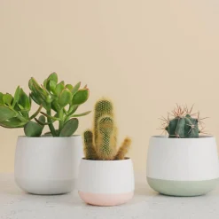 PORSGRUNDS PORSELÆNSFABRIK Porsgrunds Porselænsfabrik Nordic Light Lyslykt 10cm Hvit Sale