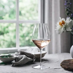 RIEDEL Performance Pinot Noir 2pk Best