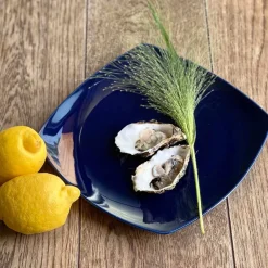 PORSGRUNDS PORSELÆNSFABRIK Sense Cobalt Tallerken Firkant 27cm 4pk Sale