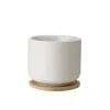 STELTON Nordic Theo Krus m/Glassbrikke Sand Hot