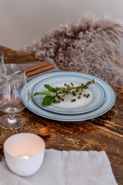 PORSGRUNDS PORSELÆNSFABRIK TALLERKEN FLAT 28 CM BLÅ - 4PK Online